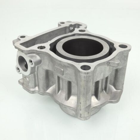 Originalzylinder für Yamaha 125 YP X-Max 2014 bis 2017, ø 52 mm, (1/5)