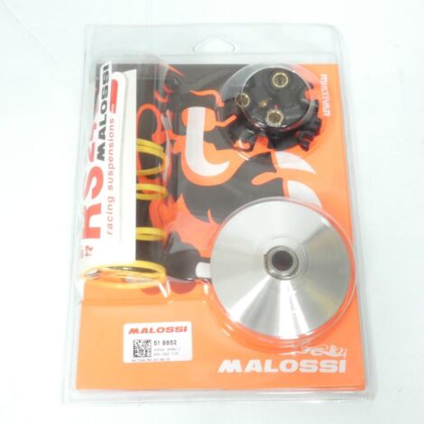 Malossi Variator für Scooter PGO 50 Big Max 518852 Neu