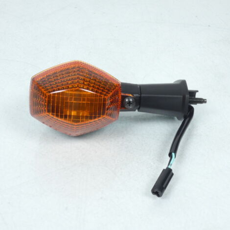 Original Blinker für Motorrad suzuki 600 gsxr 2000 bis 2003 (1/5)