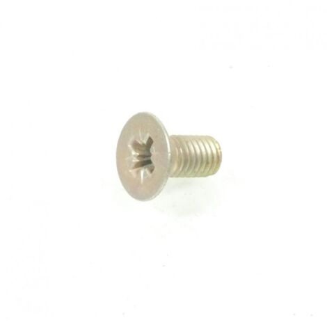 Kreuzschlitz-Schraube M5x0,8 L10mm für zwei Motorrad- oder