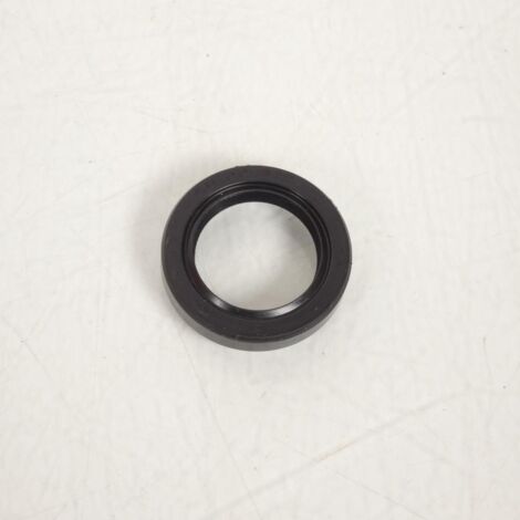 dichtung spi motor für roller yamaha 150 xq maxster 2002 (1/3)