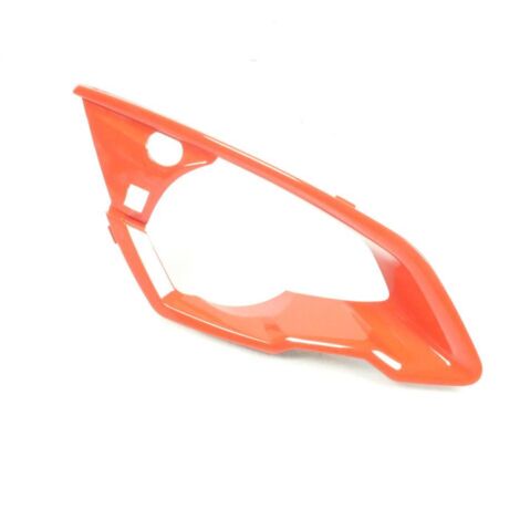 Optische Umgebung AVD für Scooter Peugeot 50 Speedfight 4