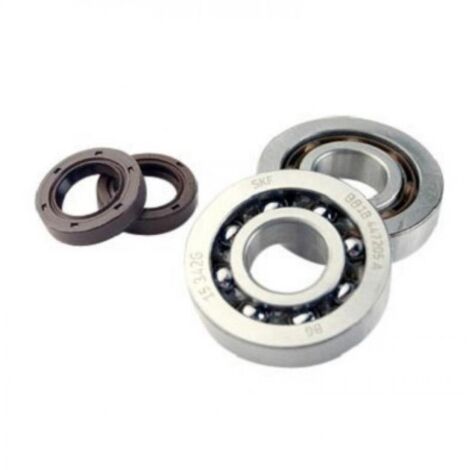 lager oder dichtung spi motor doppler für roller peugeot 50 (1/3)
