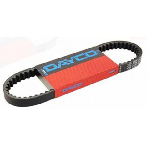 dayco Zahnriemen für Roller malaguti 50 f12 2007 bis 2010 830201 (1/3)