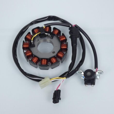 original lichtmaschine für motorrad yamaha 250 wrf 2003 bis 2004 (1/3)