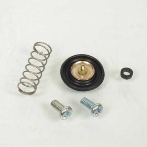 reparaturkit für die einspritzpumpe für motorrad yamaha 450 wr-f (1/5)