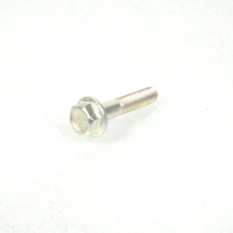 Vis M6x100 L30mm für Scooter Peugeot 250 SV 2001 bis 2002