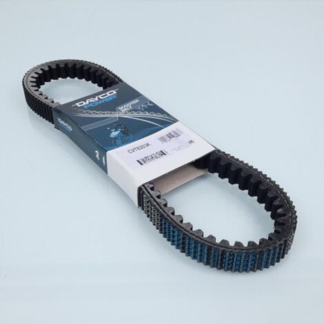 dayco Antriebsriemen für Piaggio-Roller 250 x9 evolution 2006 neu (1/3)