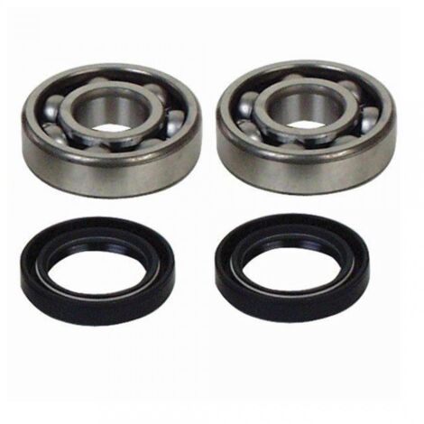 lager und dichtung spi kurbelwelle all balls für motorrad (1/2)