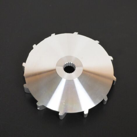 generische feste Wange Variator für chinesischen Roller 125 (1/3)