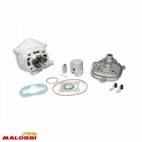 Hochmotor Malossi für Roller Malaguti 50 f15 318559 / Ø40mm neu