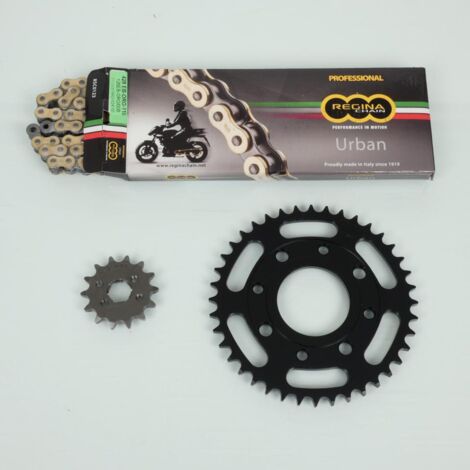 Regina-Kettenkit für Daelim 100 Altino Motorräder von 1999 bis