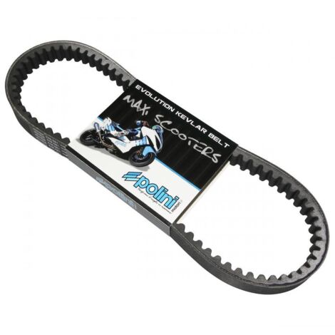 Polini Antriebsriemen für Roller mbk 125 x over neu (1/4)