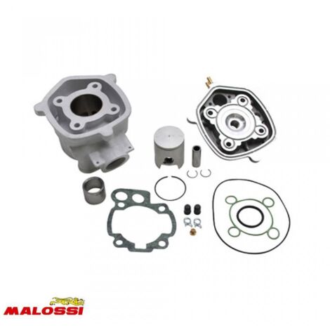 Hochmotor Malossi für Motorrad Peugeot 50 xr6 3112199 / Ø40.3mm