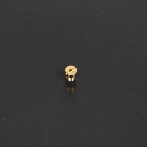 Vergaserdüse P2R für Zweiräder Dellorto SHA Hauptdüse 125, neu
