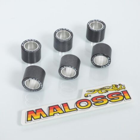 Malossi Variatorrolle für Roller Piaggio 50 ntt 1994 bis 1999