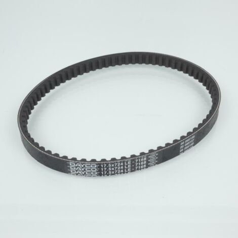 dayco Antriebsriemen für Roller piaggio 50 zip sp 1996 bis 2000 (1/3)