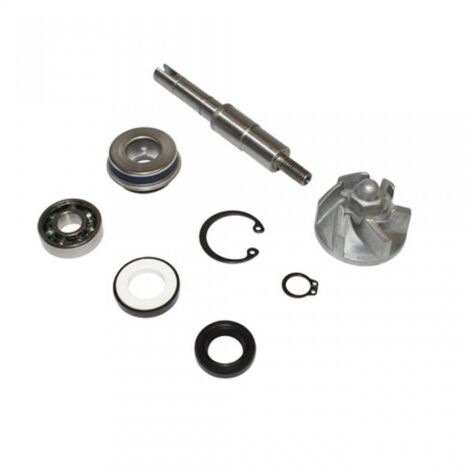 Wasserpumpe one für Roller honda 125 pantheon nach 2003 neu (1/2)