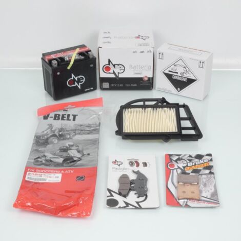 Kit Revision Wartung one für Roller Malaguti 250 password