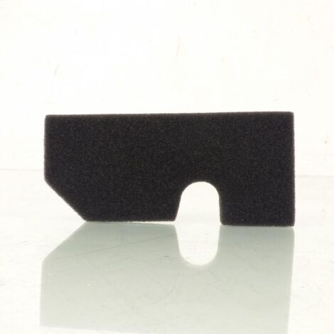 Luftfilter Athena für Moped Peugeot 50 Fox 1994-1999 (1/4)