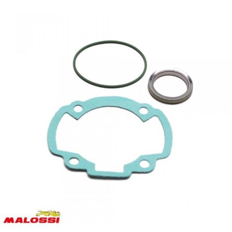 Motordichtung Malossi für Roller Peugeot 50 Speedfight 2 11 7394