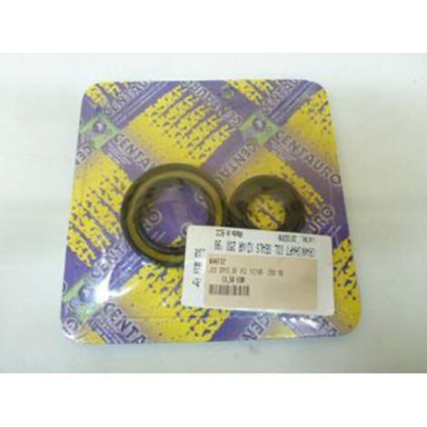motor spi dichtung für motorrad yamaha 250 wr 1998 bis 1999 (1/3)