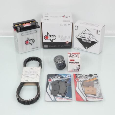 Kit Revision Wartung one für Roller aprilia 300 atlantic 82941r