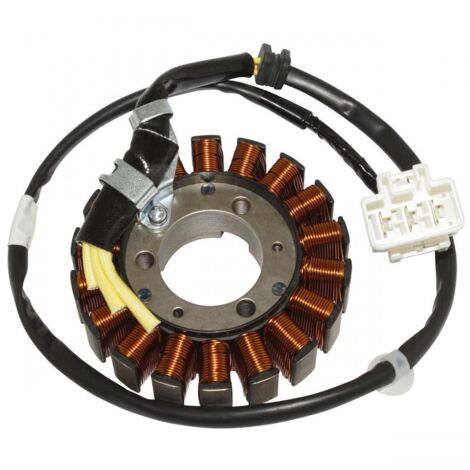 Lichtmaschine sgr für Roller honda 125 fes pantheon nach 2005 neu