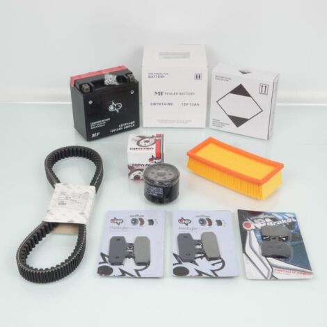 Kit Revision Wartung one für Roller Malaguti 500 Spider Max nach