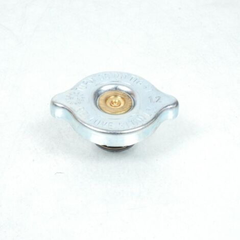 Kühlerdeckel für Motorrad Yamaha 660 xtr 5bk-e2462-00 (1/5)