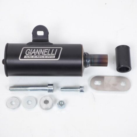 auspuff giannelli für roller piaggio 125 vespa px 2t 2011 bis