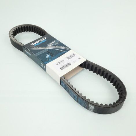dayco-antriebsriemen für roller italjet 250 jupiter 2001 bis 2003 (1/2)