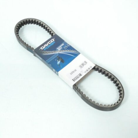 Dayco-Antriebsriemen für Peugeot 100 Looxor Roller, Baujahre 2001 (1/4)