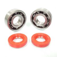Lager oder Dichtung spi Motor rsm für Auto neu