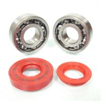 Lager oder Dichtung spi Motor rsm für Auto neu