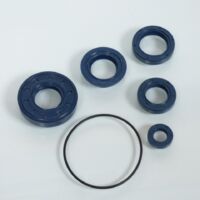 dichtung spi motor top performances für roller mbk 50 evolis neu