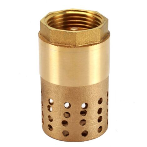 Clapet anti-retour pompe 1 pouce - clapet de pied clapet anti retour (1 pouce) (1/3)