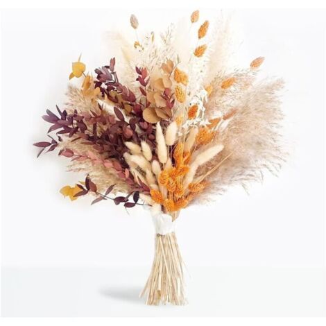 Bardusch-64 pièces bouquet fleurs séchées avec herbe pampa, kit DIY pour vase, chambre, mariage boho (1/5)