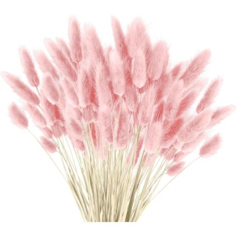 Bardusch-120 PCS Pampa séchée, Fleurs séchées Pampa Plante Fleurs séchées moelleuses, bohème décoration intérieure Arrangement Floral (Rose) (1/5)