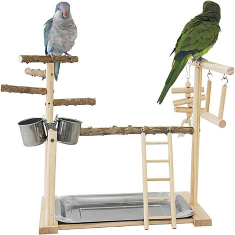 Bardusch-Échelle d’escalade + plateau + tasses – parc de gym complet pour perruches et calopsittes (1/5)