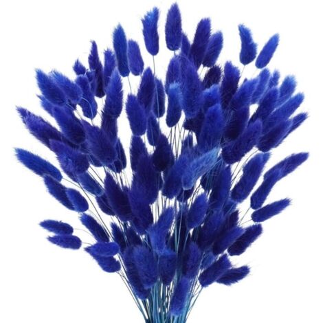 Bardusch-50 herbes pampa séchées 45 cm blanches naturelles, pour vase, mariage, maison, hôtel, déco