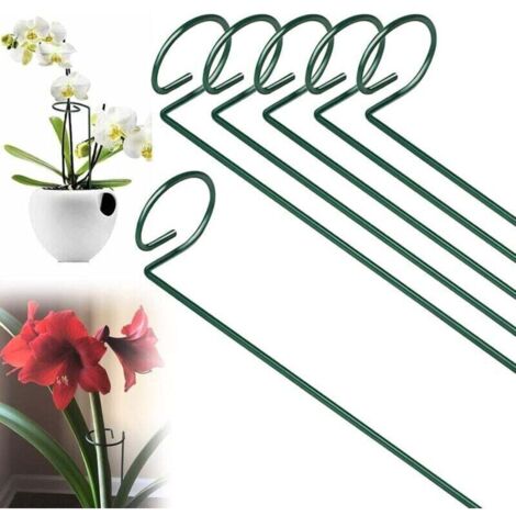 Bardusch-Lot de 6 piquets de support en métal pour cage de plantes - Tige unique - 40 cm - Pour tomates, pivoines, lys, roses et fleurs d'amaryllis, vert (1/4)