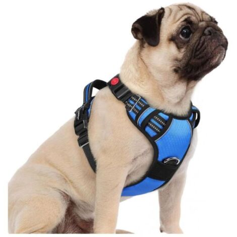 Bardusch - Harnais Chien Anti Traction avec 3 boucles pour Chien Facile à Mettre Harnais Réfléchissant Réglable pour Chien Bleu S (1/4)