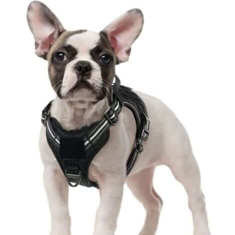 Bardusch - Harnais Chien Anti Traction, Harnais Tactique Chien Réfléchissant Réglable avec Poignée et Anneaux pour Entraînement Chasse Noir-S (1/4)