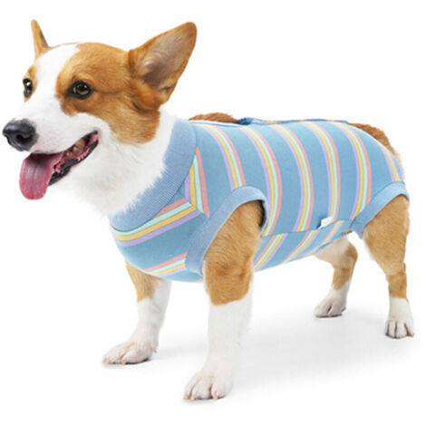 Bardusch - Vêtement pour chien de grande et moyenne taille (1 pièce). Vêtement de convalescence postopératoire après stérilisation. (1/5)