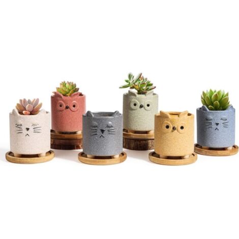 Bardusch-Pots fleurs céramique + plateau bambou (lot de 6) – surface mate – animaux décoratifs – intérieur/bureau (1/4)