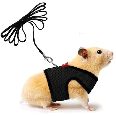 Bardusch-Harnais doux + laisse pour petits animaux avec clochette et nœud papillon (1/4)