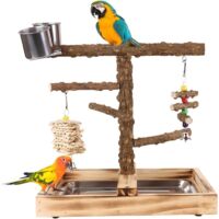 Bardusch-Parrot Stand résistant (14 × 10,24 × 13,39 po) – gym complet avec tasses d’alimentation incluses