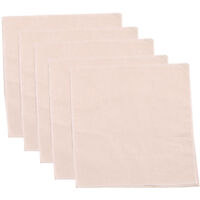 Bardusch - 5 morceaux de tissu de fromage, gaze de coton au lait de noix, tissu filtrant en coton naturel, tissu vapeur de cuisine