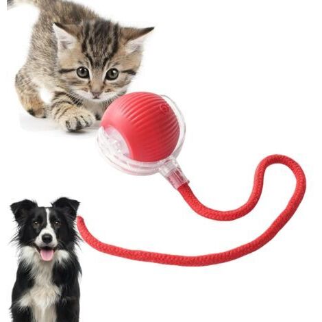 Gioco interattivo per gatti - Palla elettrica ricaricabile automatica, movimento irregolare, stimola l'istinto di caccia, per gatti adulti da interno, compatibile con pavimenti e tappeti.